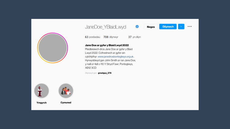 Bywgraffiad Instagram enghreifftiol ar gyfer yr ymgeisydd ffug Jane Doe sy’n darllen fel a ganlyn: “Pleidleisiwch dros Jane Doe ar gyfer y Blaid Lwyd 2022. Cofrestrwch ar gyfer ein cylchlythyr: www.janedrosbonteglwys.org.uk. Hyrwyddwyd gan John Smith ar ran Jane Doe, y naill ar llall o 110 Y Stryd Fawr, Ponteglwys, AB12 3CD”.